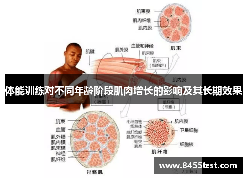 体能训练对不同年龄阶段肌肉增长的影响及其长期效果